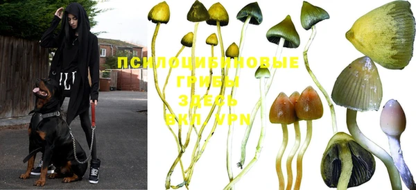 mdpv Куйбышев