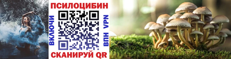 Псилоцибиновые грибы Cubensis  даркнет как зайти  Лесозаводск 
