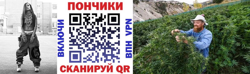 Конопля SATIVA & INDICA  где купить наркотик  Лесозаводск 